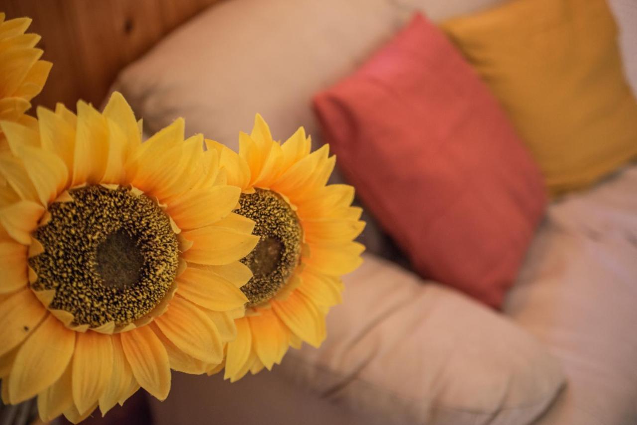 La Pieja Otel Opi Dış mekan fotoğraf